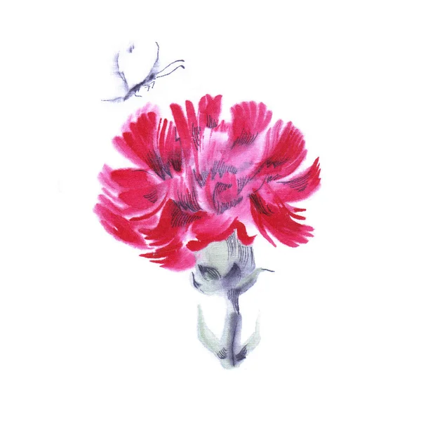 Acuarela Clavo Rosa Con Mariposa Ilustración Flor Grande — Foto de Stock