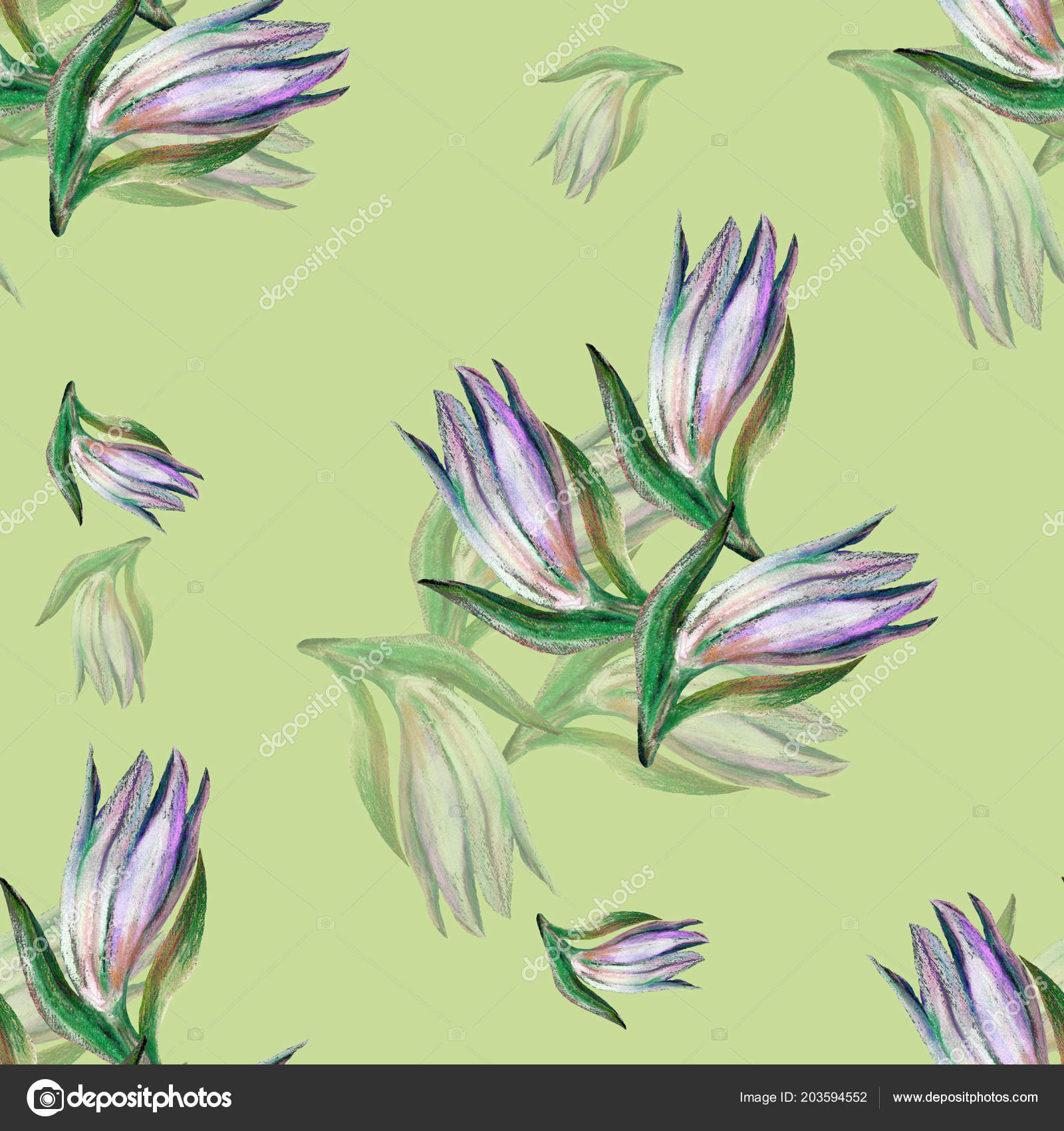 Bud Lilies Color Pencil Seamless Pattern Lime Green Background Stock Photo by ©Olga_Kleko 203594552