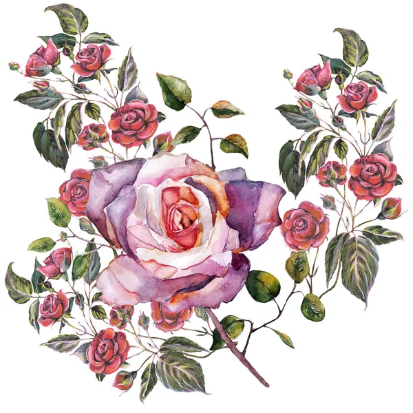 Rosa Acuarela Grande Pequeñas Rosas Lápiz Color Sobre Fondo Blanco — Foto de Stock