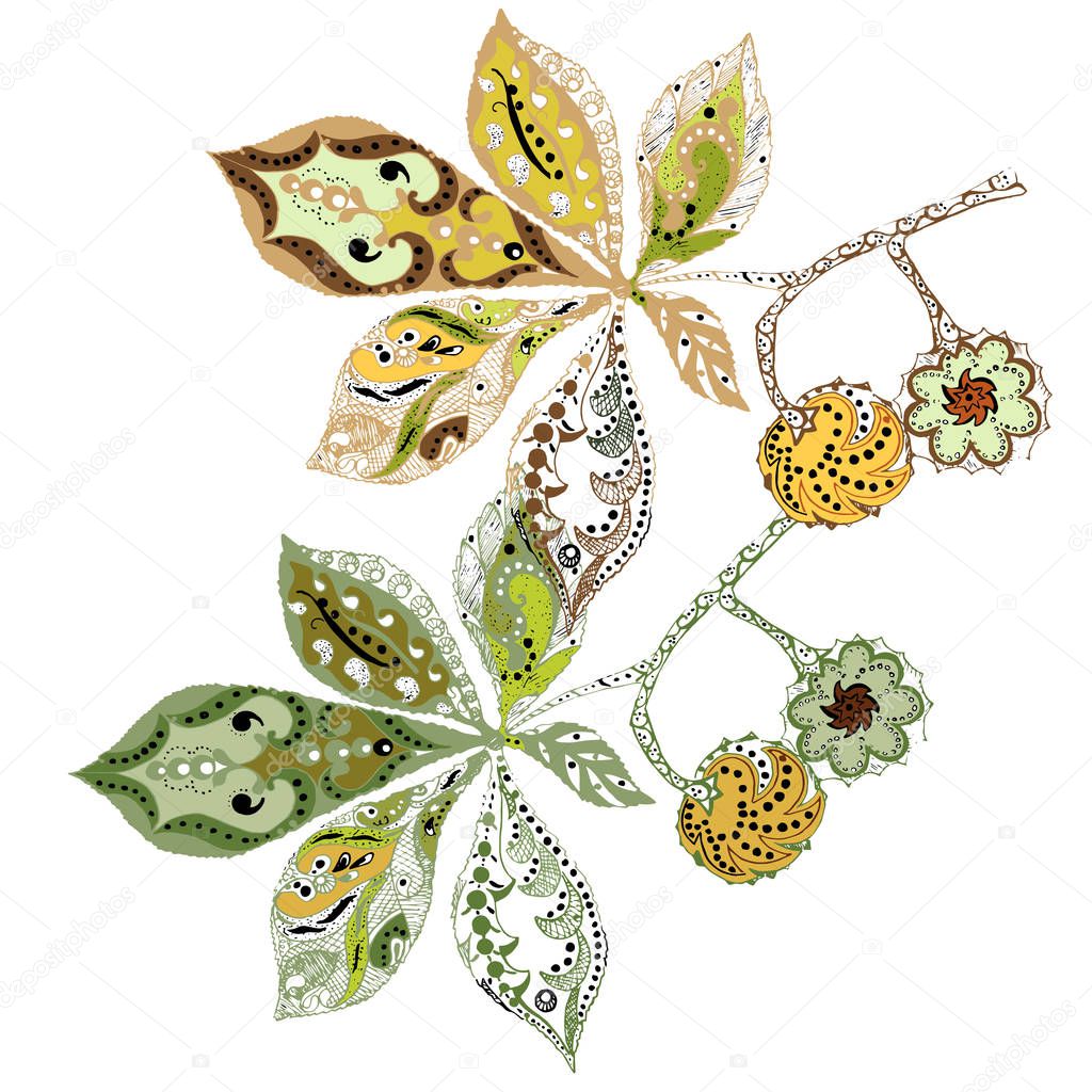 Graphic chestnut leaves decorative elements illustration for your design on white background. Floral vector.