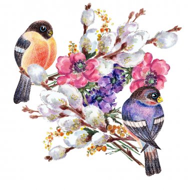 Buket çiçekleri söğüt ve anemon ile suluboya kuş bullfinch. Beyaz arka planda bahar illüstrasyonu.