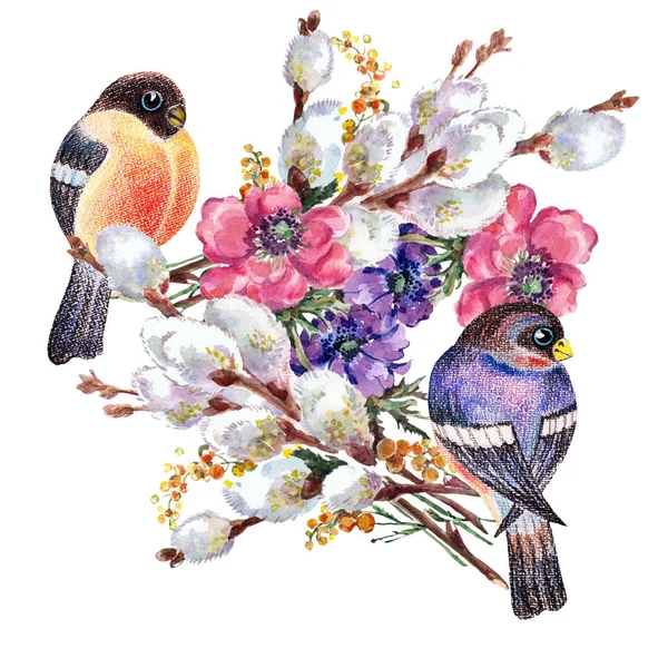 Akwarela Ptak Gil Kwiatów Bukiet Wierzby Anemonu Ilustracja Wiosna Białym — Zdjęcie stockowe