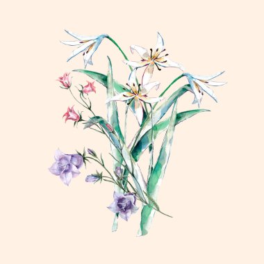 Suluboya alan çiçekleri. Bej arka planda tasarım için illüstrasyon.