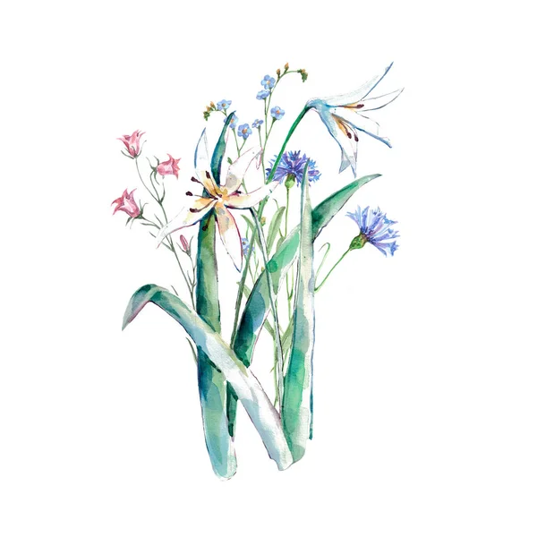Suluboya Alan Çiçekleri Beyaz Arka Plan Üzerinde Tasarım Için Çizim — Stok fotoğraf