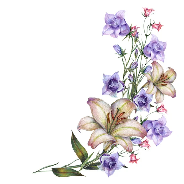 Suluboya çayır çan çiçekleri ve zambak. Köşe alan çiçekleri.