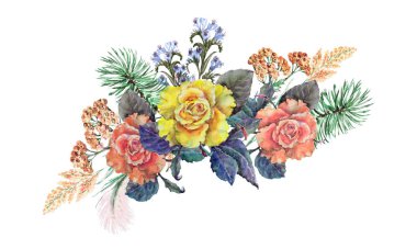 Beyaz arka planda farklı çimenler olan suluboya güller. Dekor kartı için resim.