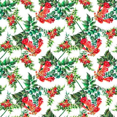 Yapraklı suluboya çiçek kırmızısı kamp resmi. Beyaz arkaplanda pürüzsüz desen.