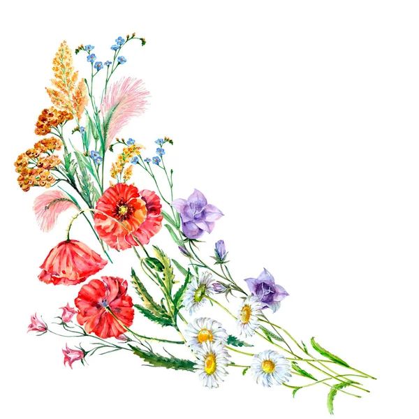 Akvarell Äng Blommor Vit Bakgrund Hörnillustration För Kort — Stockfoto