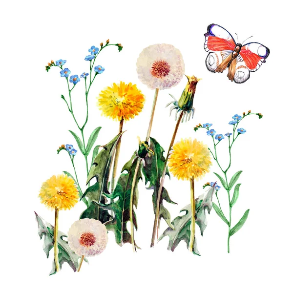 Akwarela Dandelios Kwiaty Liście Motylem Białym Tle Ilustracja Kwiatowa — Zdjęcie stockowe