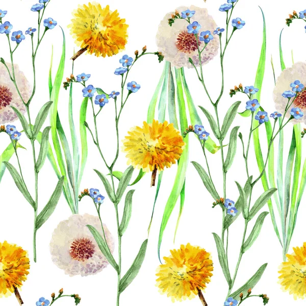 Aquarel Dandelios Bloemen Bladeren Witte Achtergrond Bloemen Naadloos Patroon — Stockfoto