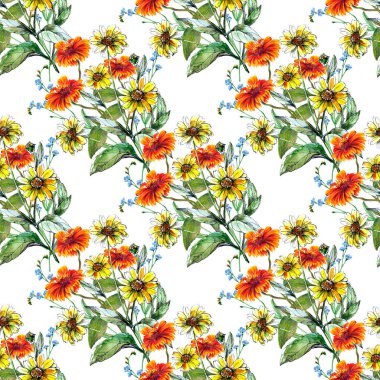 Beyaz arka planda mavi çayır çiçekleri olan suluboya ayçiçekleri. Kumaş için çiçeksiz desen.