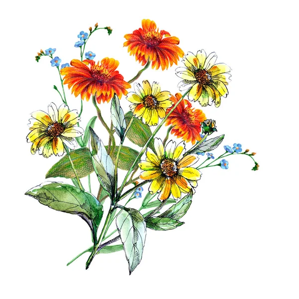 白い背景に青い草原の花と水彩ひまわり 生地用花イラスト — ストック写真