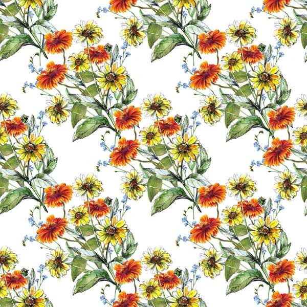 Akwarela Słoneczniki Niebieskimi Kwiatami Łąki Białym Tle Kwiatowy Bezszwowy Wzór — Zdjęcie stockowe