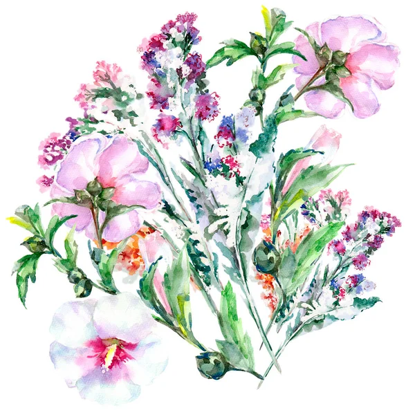 Akvarell Äng Blommor Med Fält Gräs Vit Bakgrund Illustration För — Stockfoto