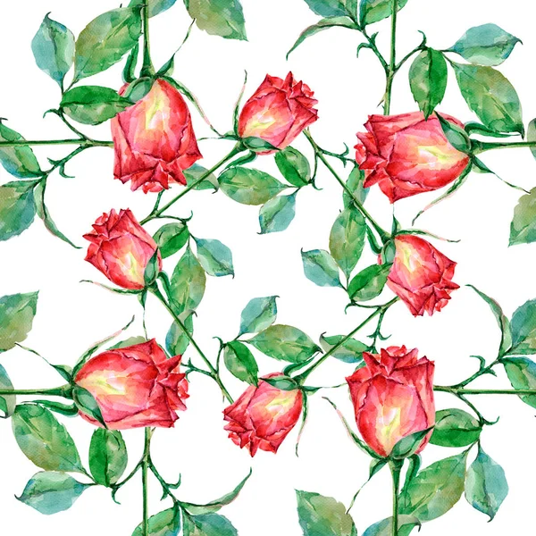 Beyaz Arka Planda Kırmızı Suluboya Gül Çiçeksiz Desen — Stok fotoğraf