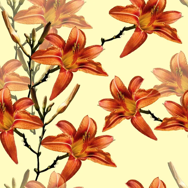 Seamless Pattern Photo Lily Yellow Background Floral Composition — Stock Photo, Image