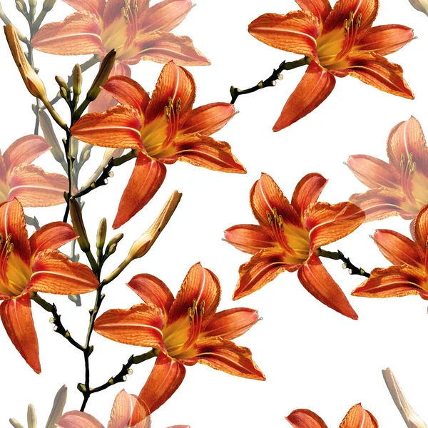 Seamless pattern with photo lily on white background. Floral composition.