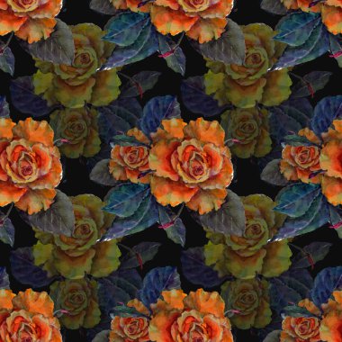 Koyu arkaplanda suluboya desenli güller. Dekorasyon ve tasarım için güzel bir desen. Moda baskısı. Çiçeğin suluboya çizimlerinin mükemmel deseni. Ayarlanmış.