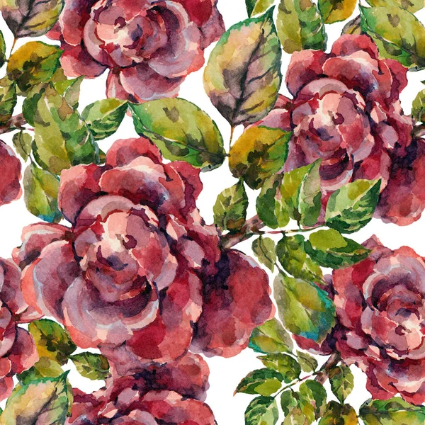 白色背景上的水彩花 织物用无缝花纹玫瑰 — 图库照片