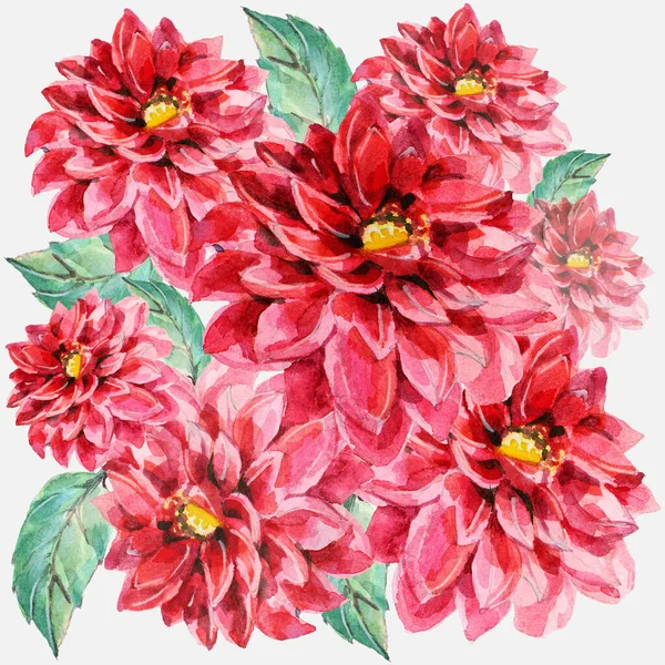 Bouquet Aquarelle Dahlia Rouge Belle Illustration Pour Décoration Design Modèle — Photo