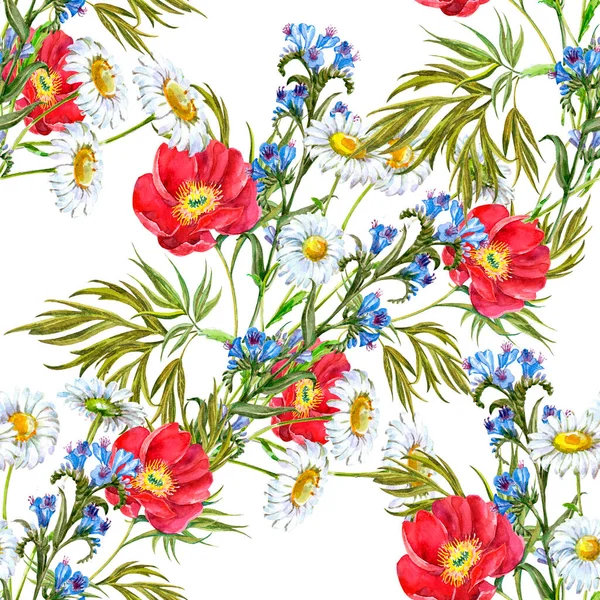 白い背景に水彩の草原の花 カモミール 青い野の花 布のためのシームレスなパターン — ストック写真