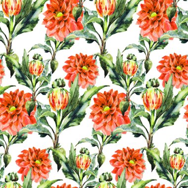 Dik desenli suluboya desenli yıldız çiçeği tomurcuğu. Dekorasyon ve tasarım için güzel bir desen. Moda baskısı. Çiçeklerin beyaz arkaplandaki suluboya çizimlerinin zarif deseni.