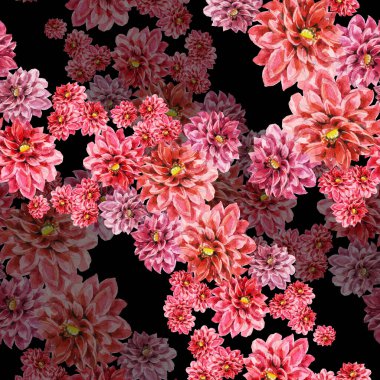 Suluboya desensiz yıldız çiçeği buketi. Dekorasyon ve tasarım için güzel bir desen. Moda baskısı. Çiçeklerin siyah arkaplandaki suluboya çizimlerinin zarif deseni.