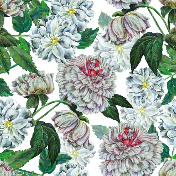 Flores Brancas Desenhando Lápis Cor Fundo Branco Padrão Sem Costura — Fotografia de Stock