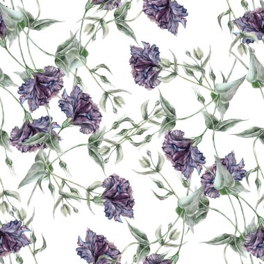 Suluboya çiçeklerinin kusursuz deseni Beyaz arka planda İrlanda gülü.