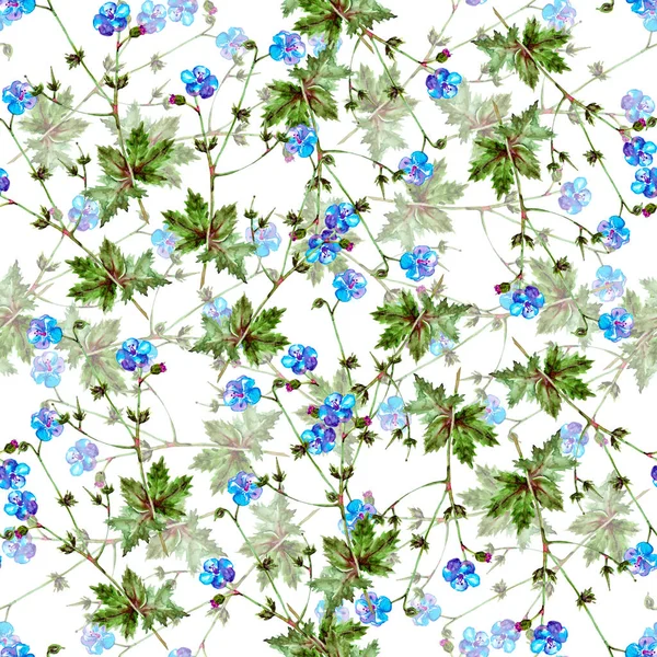 Nahtloses Muster Wilder Aquarellblumen Lila Auf Weißem Hintergrund — Stockfoto