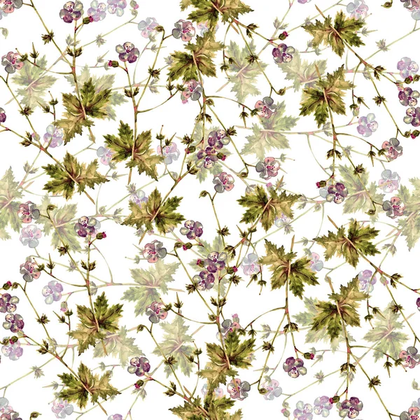 Sömlös Mönster Vilda Akvarell Blommor Lilnen Vit Bakgrund — Stockfoto