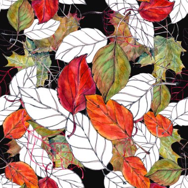 Suluboya siyah arka planda kiraz bırakır. Sonbahar kumaşı ve kağıdı için kusursuz desen.