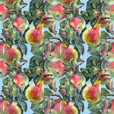 Kusursuz desenli suluboya meyve yapraklı. Mavi arka planda elmalar olan armut dalları. Dekorasyon ve tasarım için güzel desen. 