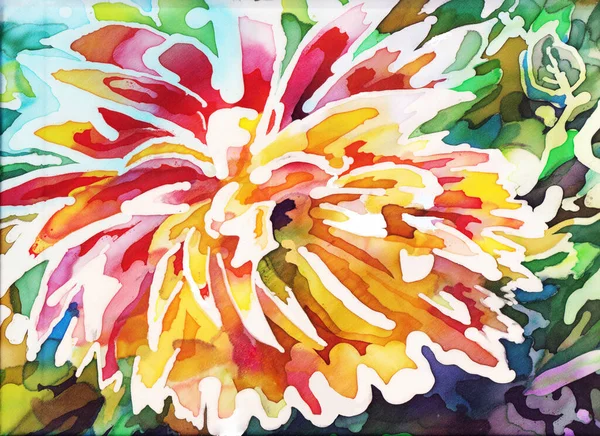 Flores Dahlia Pintura Aquarela Ilustração Sobre Fundo Colorido — Fotografia de Stock