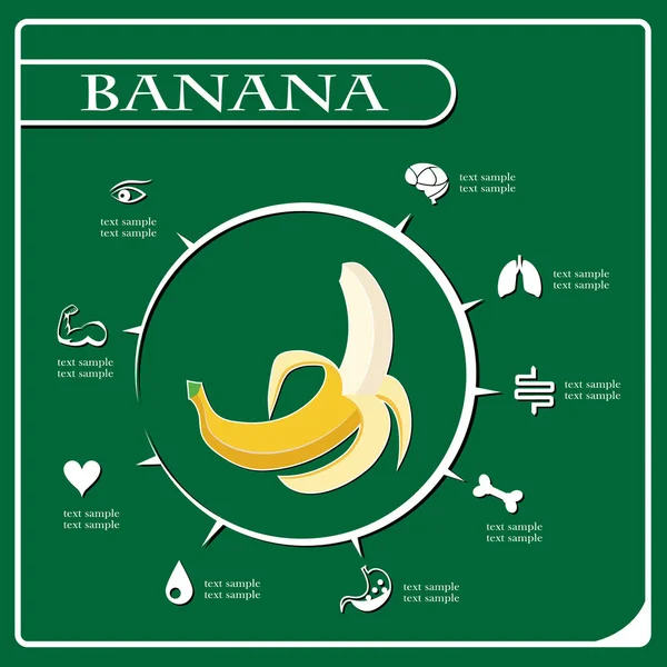 Banane Infografiken Fruchtvektorillustration — Stockvektor