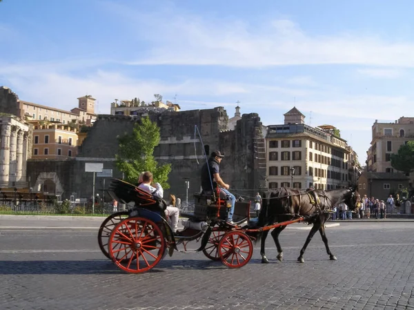 Pferd mit Kutsche in Rom — Stockfoto