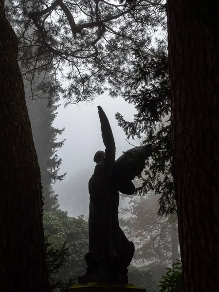 Silhouette of the angel statue of the angel on the cemetery between the trees on a foggy day.
