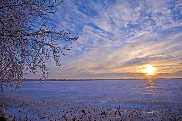Lake in winter — Stock Photo, Image