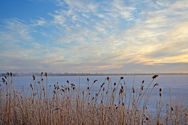 Lago in inverno — Foto Stock