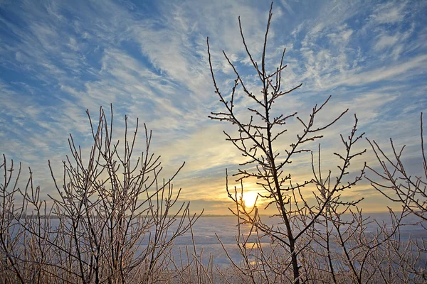 Paisagem inverno — Fotografia de Stock