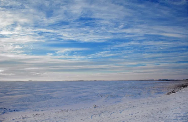 Paisagem Inverno Neve Coberto Árvores Geada Nos Ramos — Fotografia de Stock