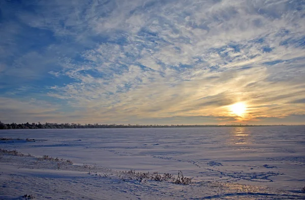 Winterlandschap Sneeuw Bedekt Bomen Vorst Takken — Stockfoto