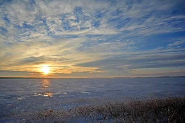 Vinterlandskap Snötäckta Träd Frost Grenarna — Stockfoto