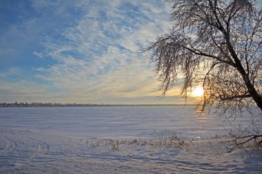 Manzara resmi için kışın donmuş bir göl günbatımı. Güneşin ağaç dallarında.