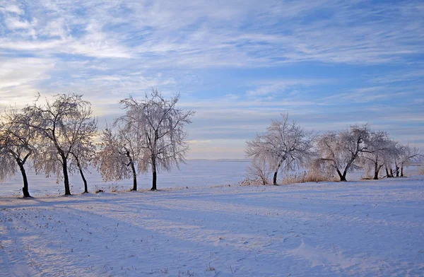 Winter Rural Landscape Landscape Photo Sunset Frozen Lake Winter — Stock Photo, Image