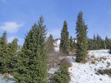 Kış Dağı Manzarası