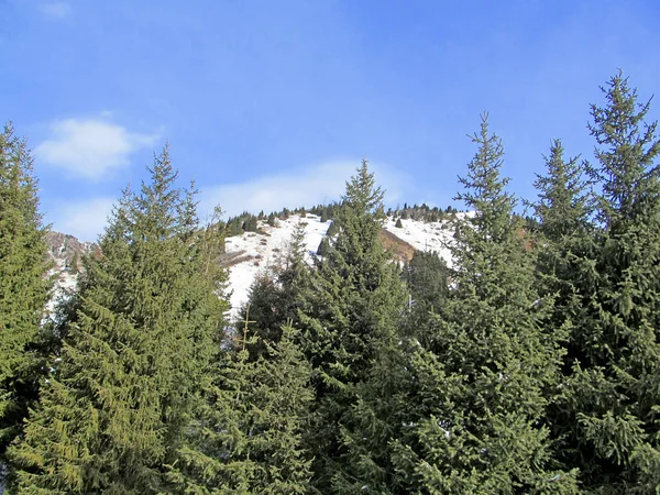 Inverno Montanha Paisagem — Fotografia de Stock