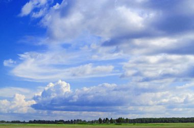 Yeşil yaz alanı ve yüksek mavi gökyüzü peyzaj fotoğrafı