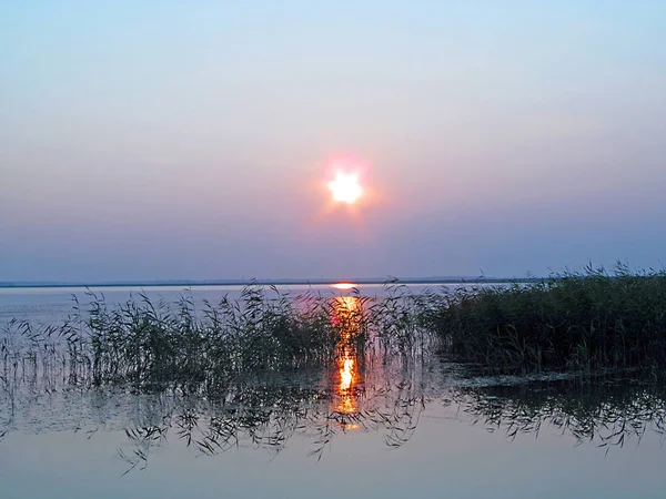 Sonnenuntergang am See im Sommer — Stockfoto