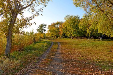 Sonbahar Parkı